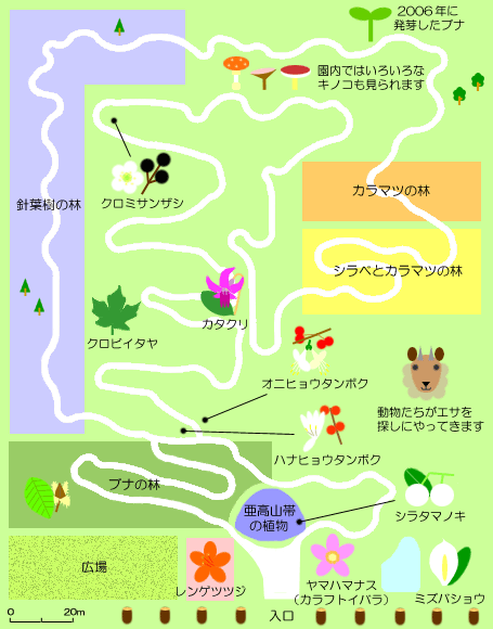 イメージマップ