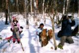 Sampling of dormant insects